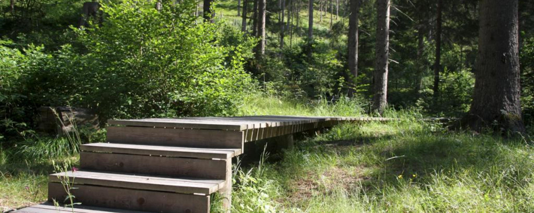 Rözenwald und Flachswaschteiche
