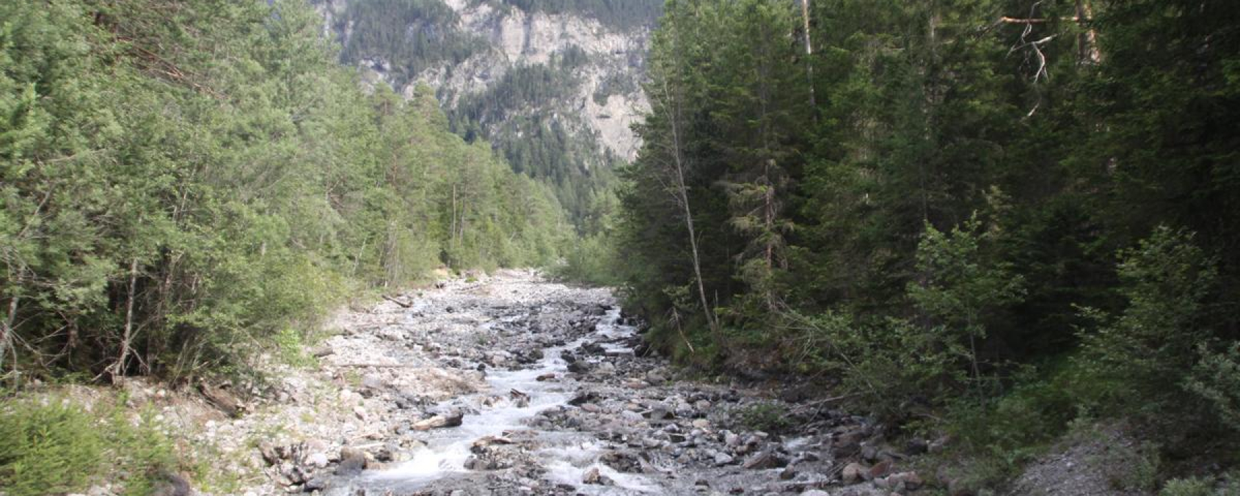 Albula und Schaftobelbach