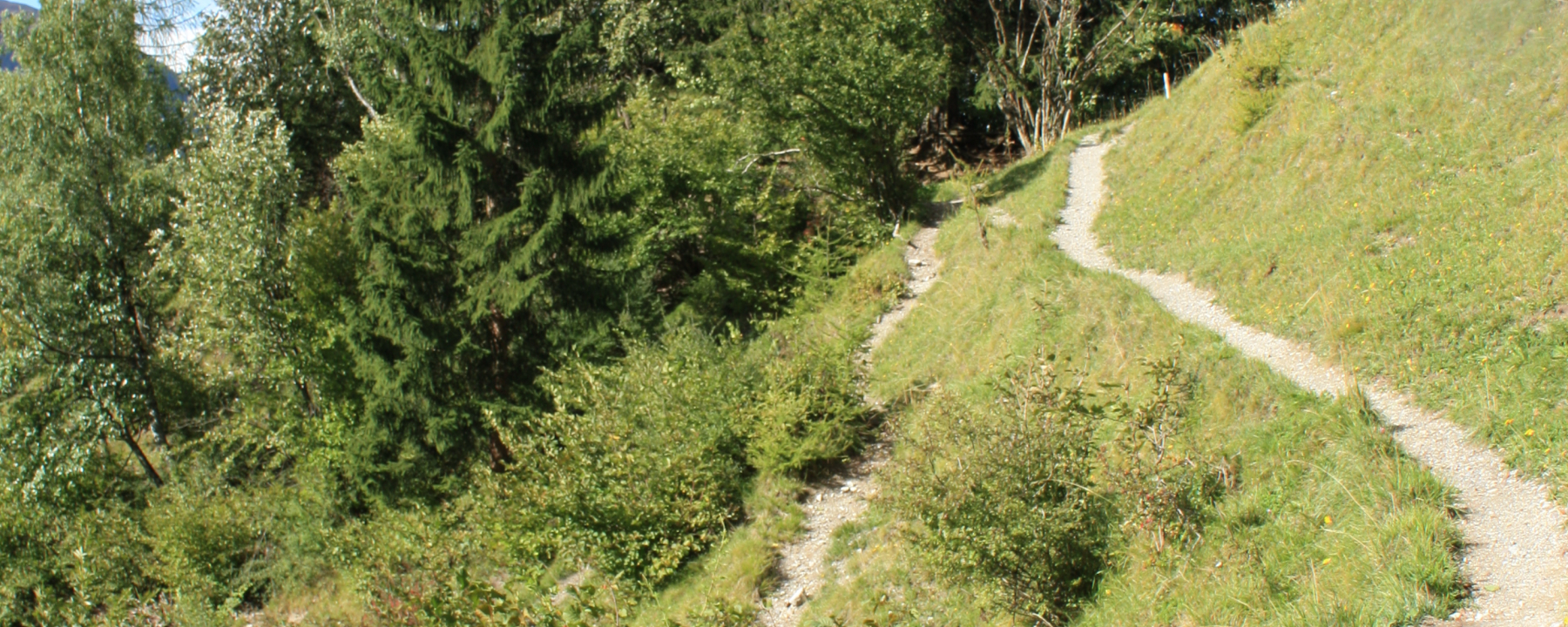 Etappe 13: Wanderweg ob Filisur Richtung Schönboden