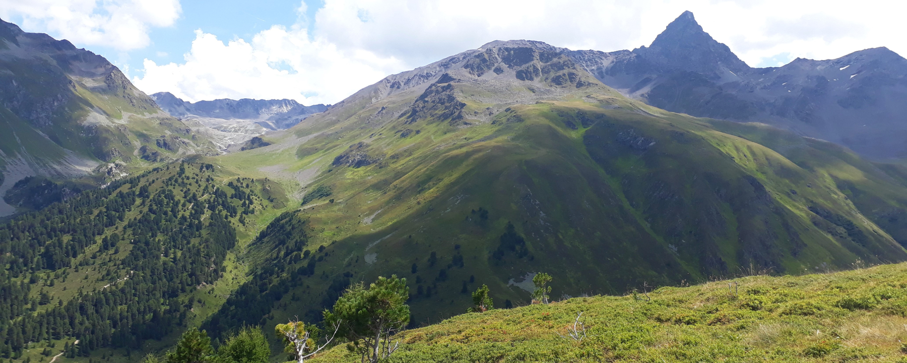 Blick zum Piz Kesch