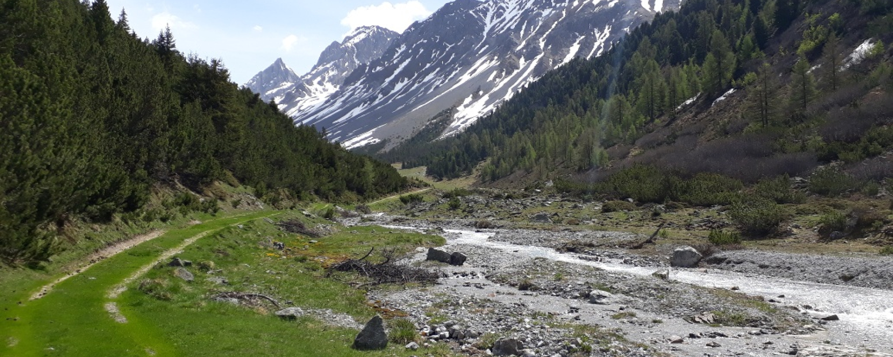 Val Stuls