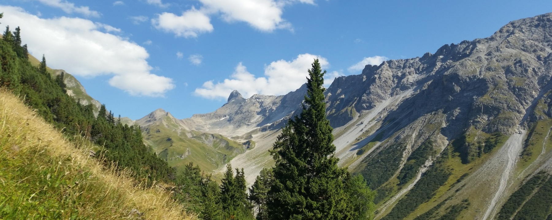 Val Tisch