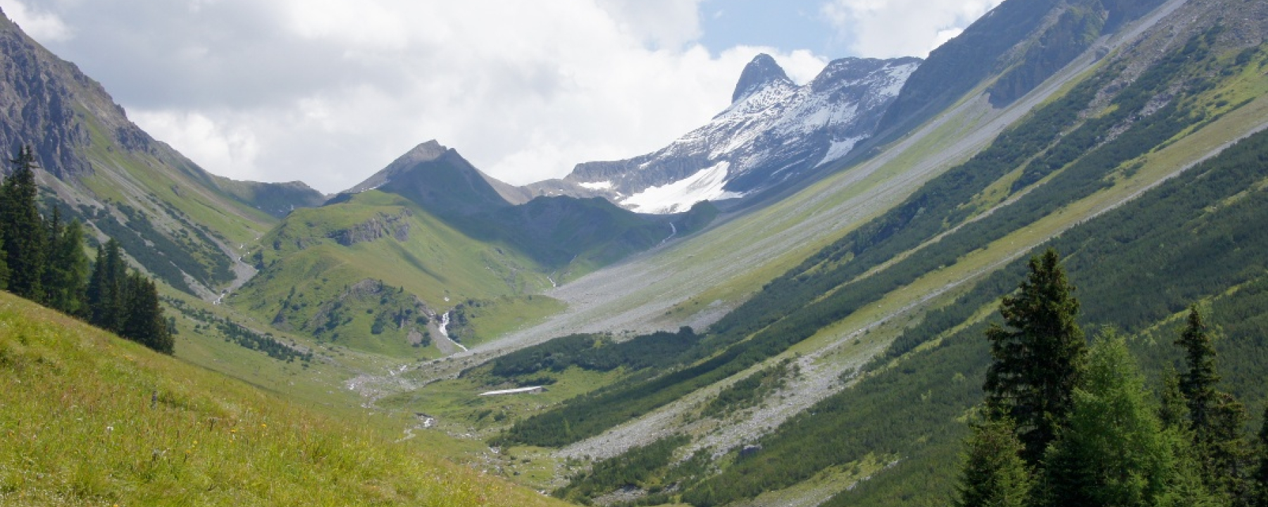 Val Tisch