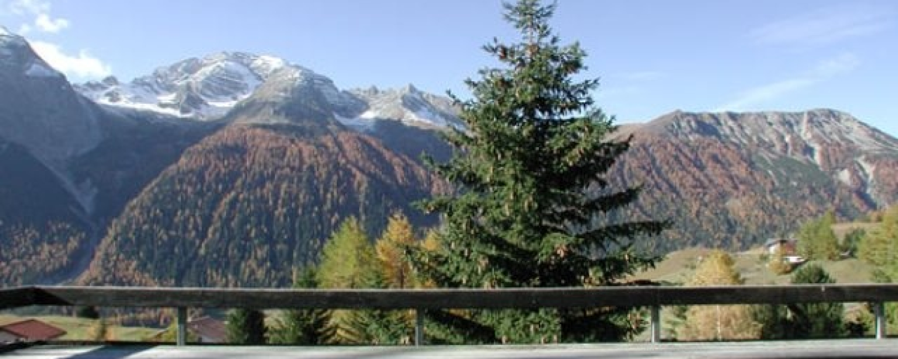 img_4kq_gaifdiaj