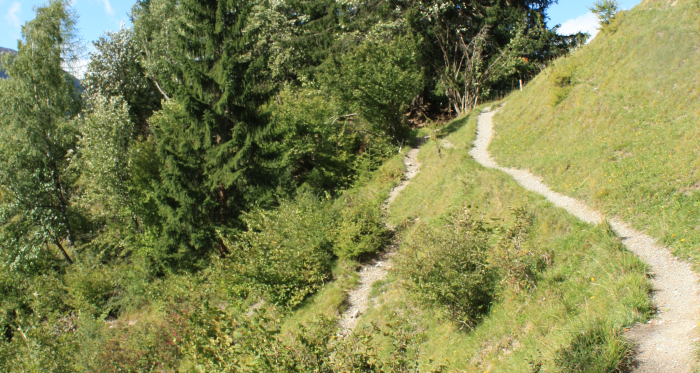 Etappe 13: Wanderweg ob Filisur Richtung Schönboden