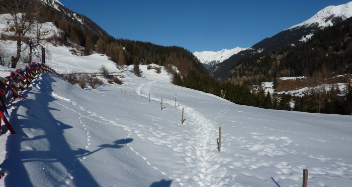 Schneeschuhtrail Bergünerstein Schneeschuhtrail Bergünerstein