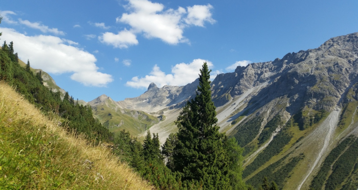 Val Tisch