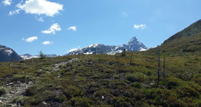 Piz Kesch