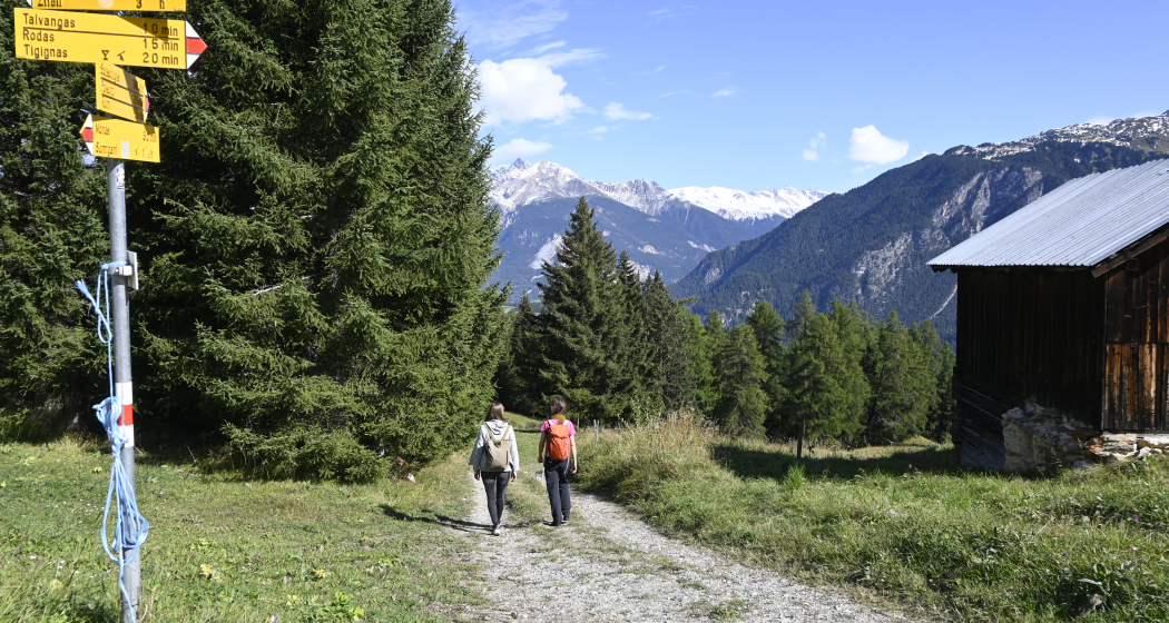 Senda culinarica: Schaf und Geiss mit Graubünden VIVA (nsp_img_4b2fcb5) Senda culinarica: Schaf und Geiss mit Graubünden VIVA (nsp_img_4b2fcb5)