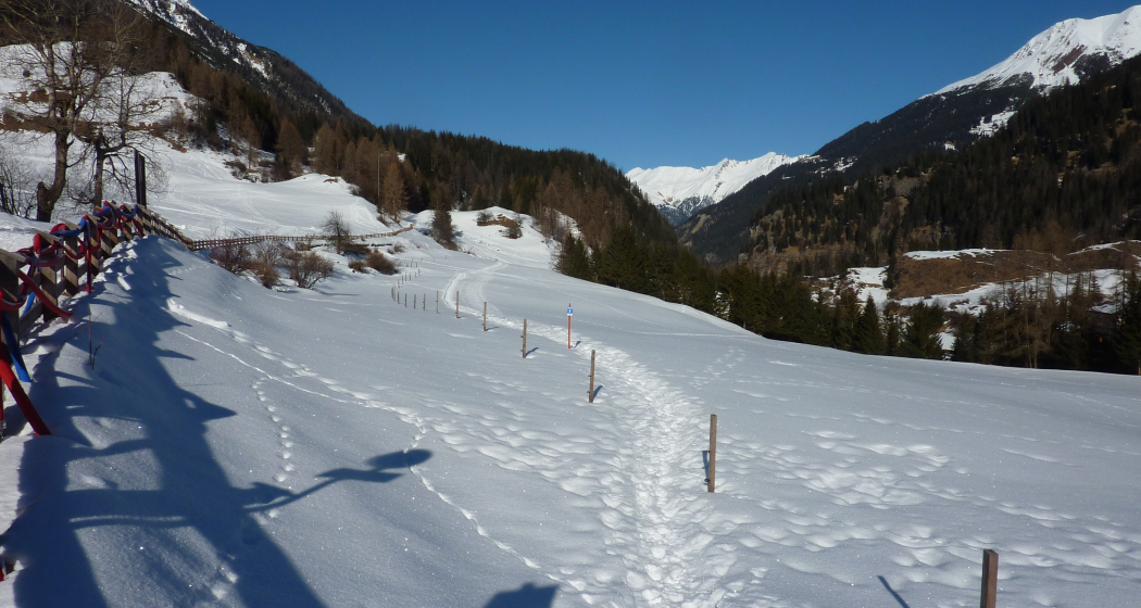 Schneeschuhtrail Bergünerstein
