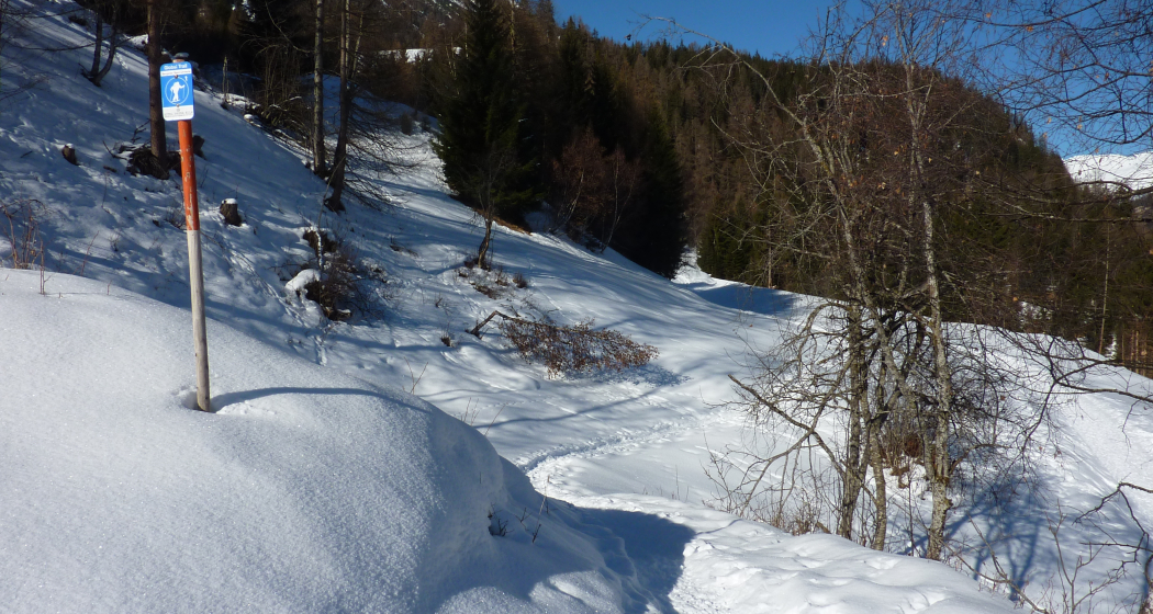 526 Schneeschuhtrail Bergünerstein (oua_24237451_image)