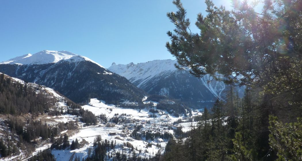 526 Schneeschuhtrail Bergünerstein (oua_24237452_image)