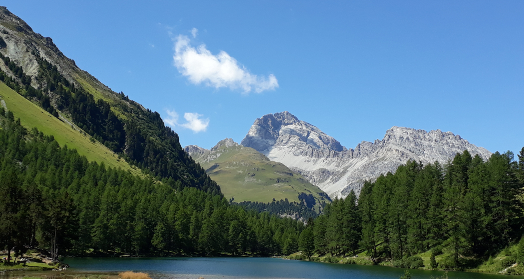 Palpuogna See Palpuogna See