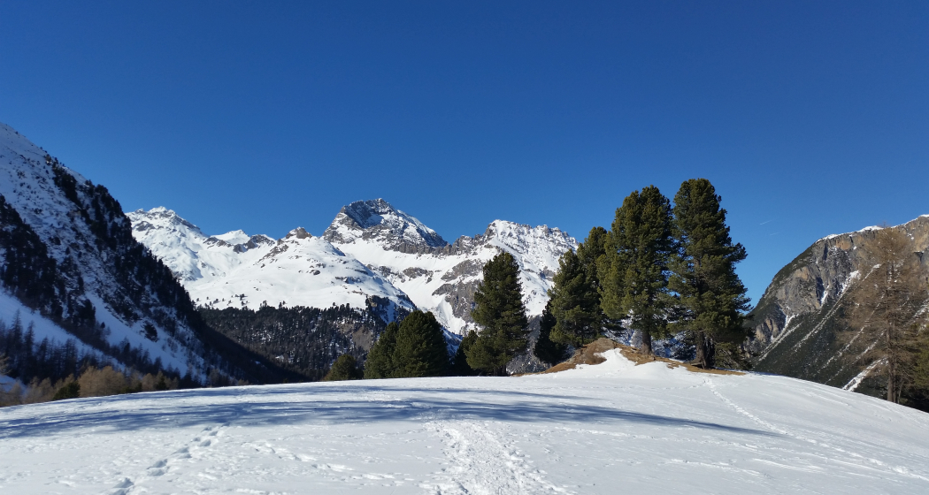 528 Schneeschuhtrail Palpuogna (oua_25266191_image)