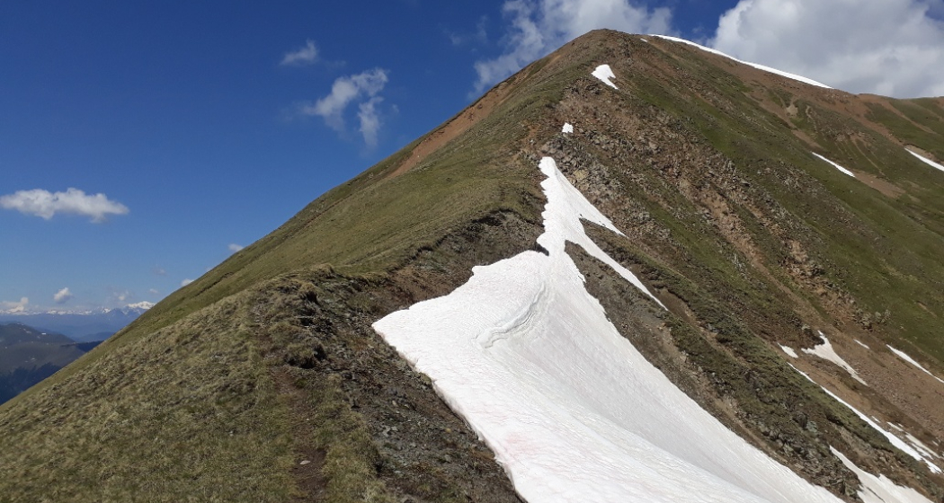 Tschimas da Tisch Tschimas da Tisch