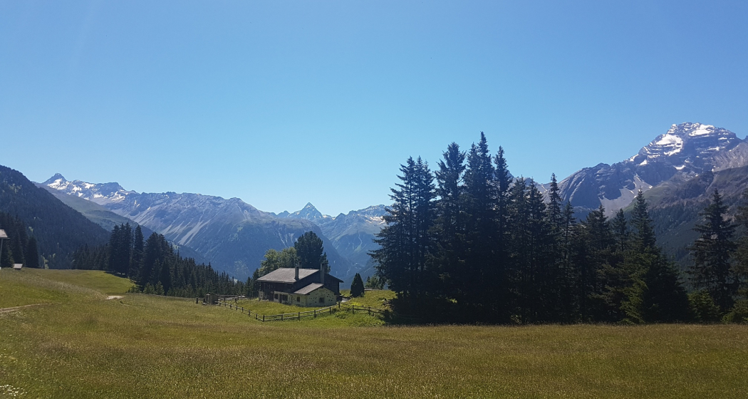 Heidihütte Heidihütte