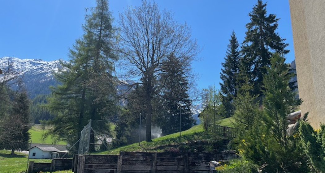 Kehrplatz zum Ausladen Kehrplatz zum Ausladen