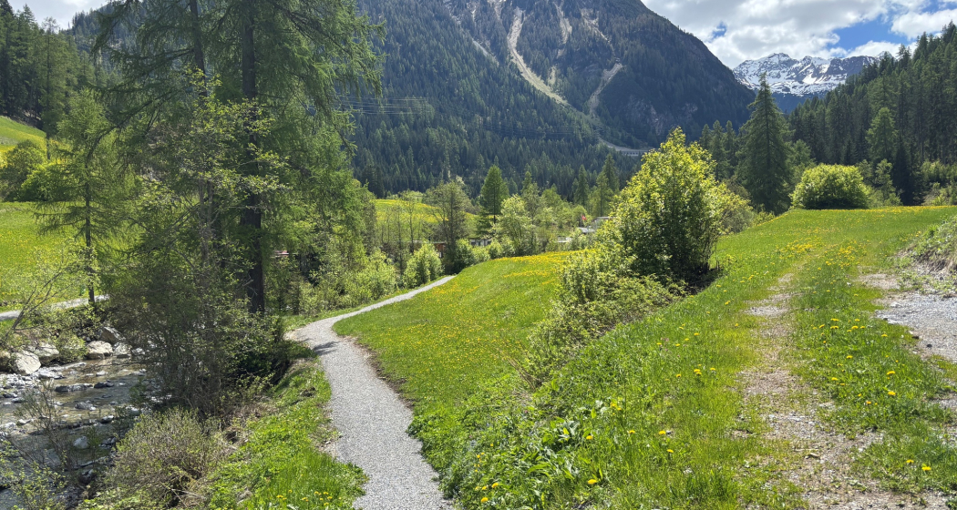 Tourenplanung am 21.05.2025 (oua_613527745_image)