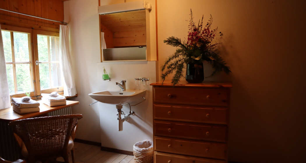 Palpuogna (Doppelzimmer) Palpuogna (Doppelzimmer)