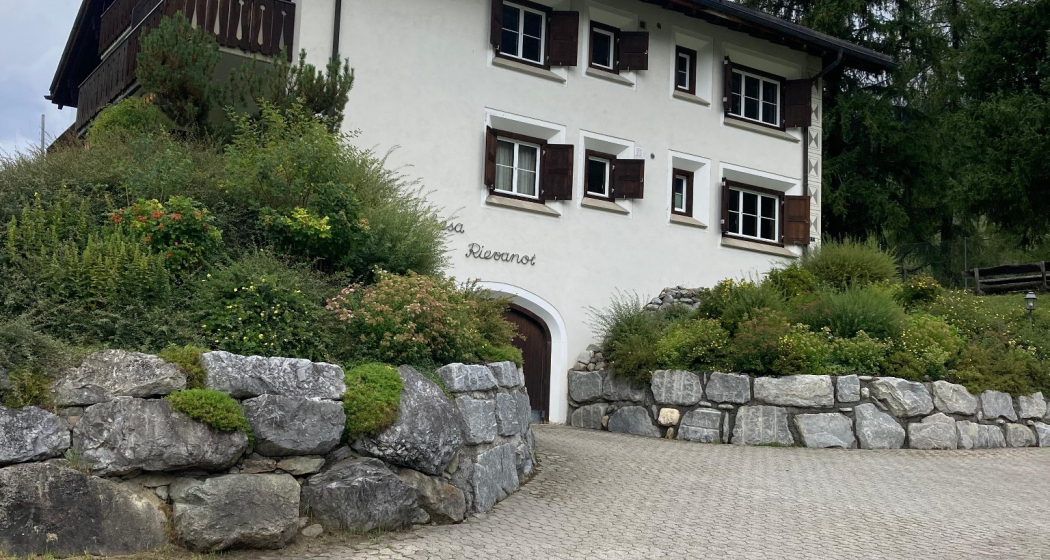 Garageneinfahrt Garageneinfahrt