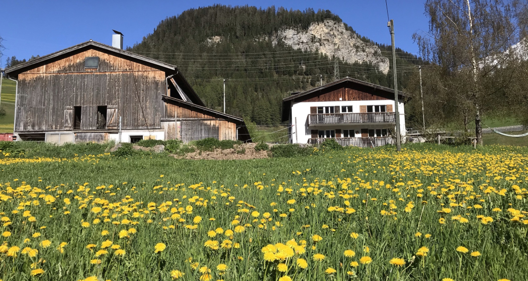 Grauviehhofladen Grauviehhofladen