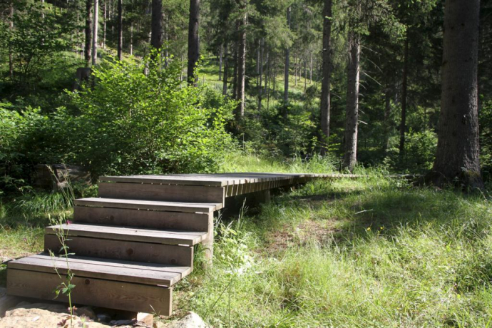 Rözenwald und Flachswaschteiche