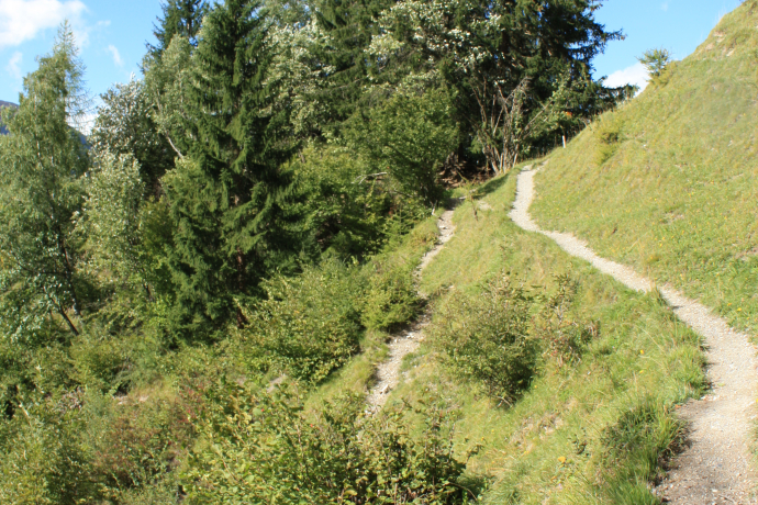 Stage 13: Hiking trail above Filisur in the direction of Schönboden
