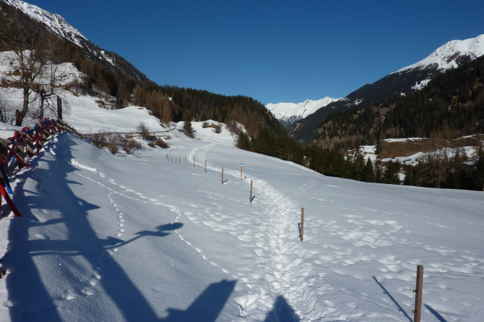 Schneeschuhtrail Bergünerstein Schneeschuhtrail Bergünerstein