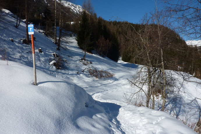 526 Schneeschuhtrail Bergünerstein (oua_24237451_image) 526 Schneeschuhtrail Bergünerstein (oua_24237451_image)