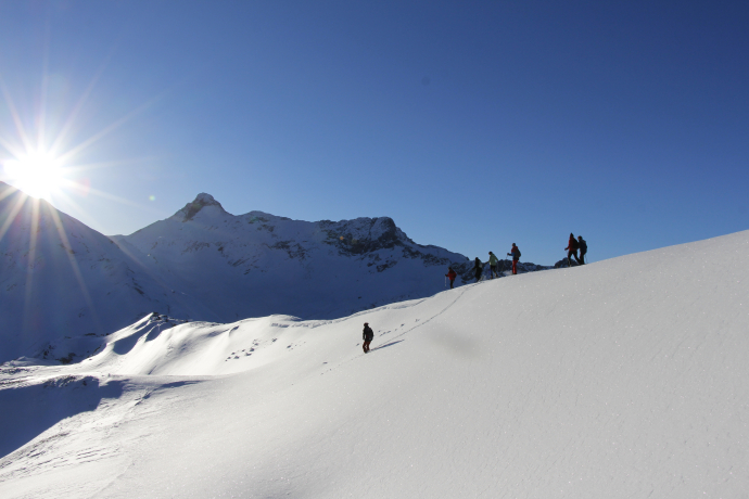 527 Schneeschuhtrail Piz Darlux (oua_25240920_image) 527 Schneeschuhtrail Piz Darlux (oua_25240920_image)