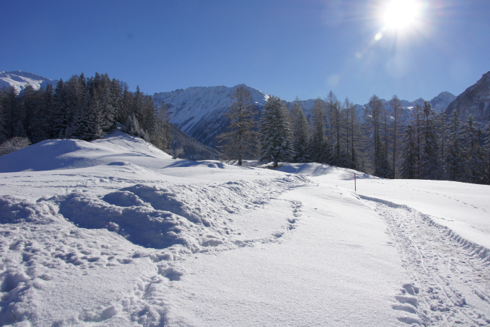 Latscher Panoramaweg (oua_25269561_image) Latscher Panoramaweg (oua_25269561_image)