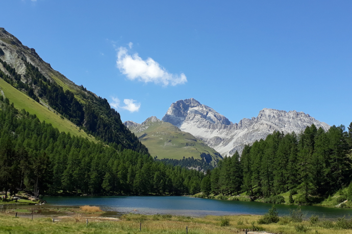 Preda - Lai da Palpuogna (oua_27128086_image)