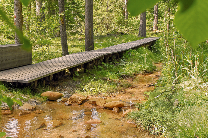Rözenwald, Wasserweg