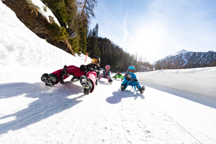 805 sled run Preda-Bergün (oua_43860082_image)