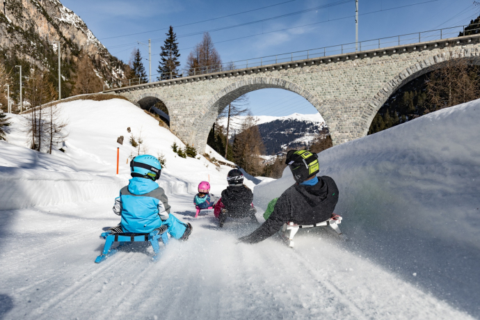 805 sled run Preda-Bergün (oua_43860083_image)