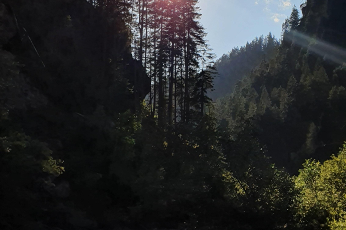 Trailrun leicht - Landwasserviadukt - Filisur (oua_70372896_image)