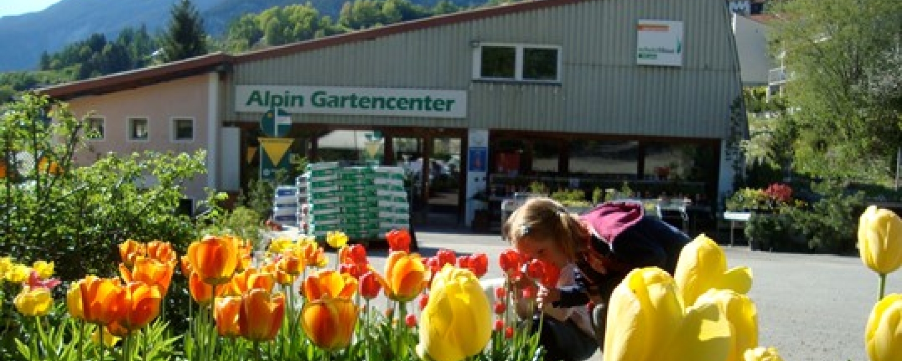 Gärtnerei Schutz