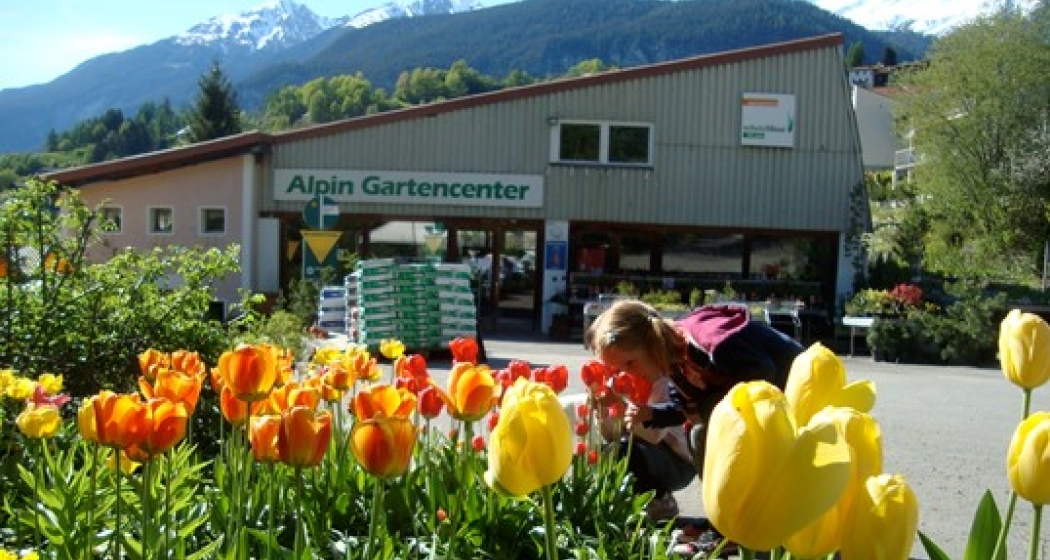 Gärtnerei Schutz