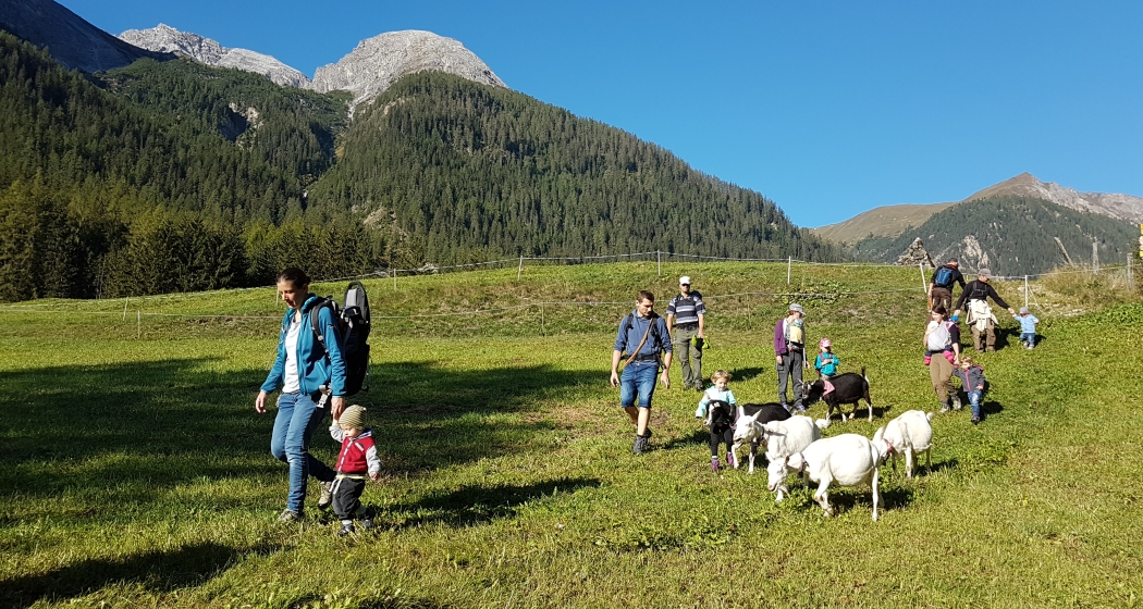 Geissenspaziergang