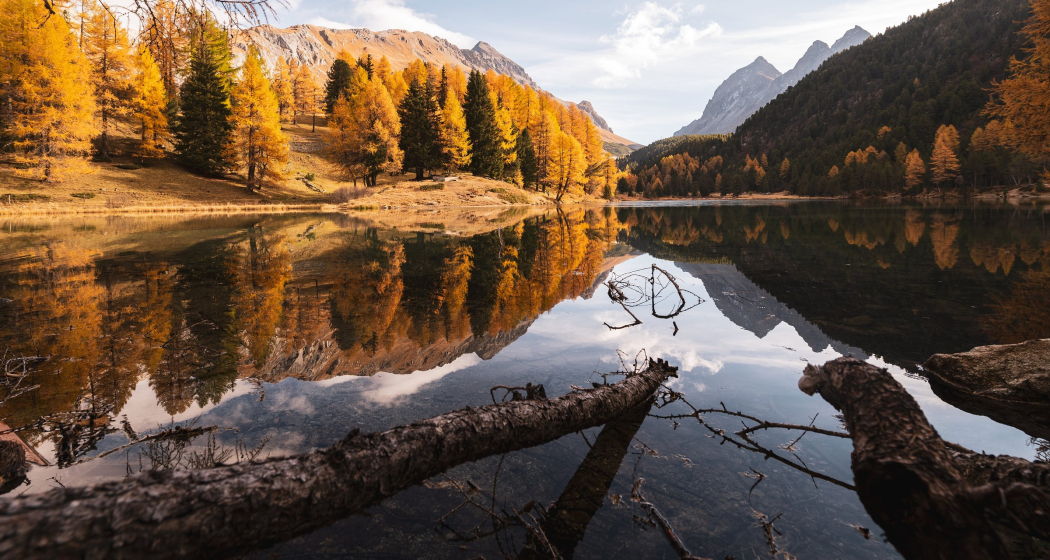 Lai da Palpuogna in Preda