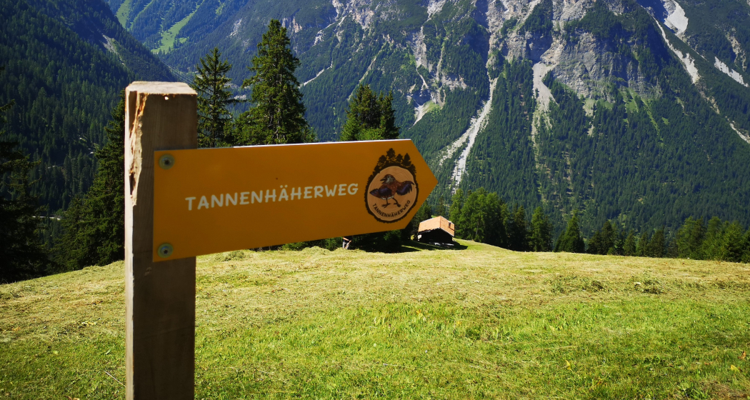 Tannenhäherweg Tannenhäherweg