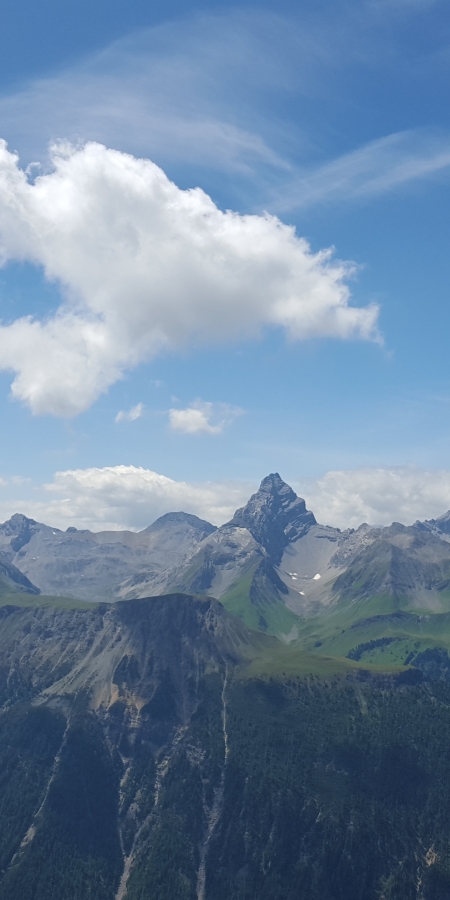Panorama