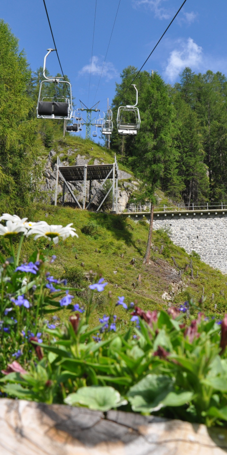 Bergbahn Sommer