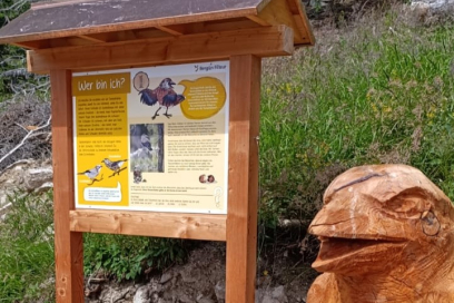 Tannenhäher Tannenhäherweg