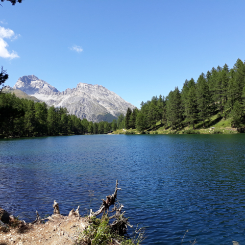 Palpuogna See