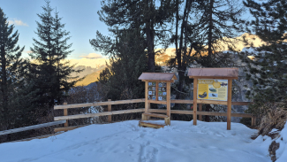 Tannenhäherweg Winter