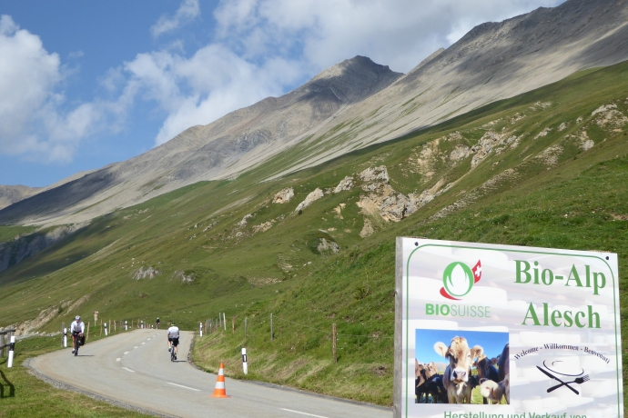 Alp Alesch (C:Christian Fricker) Alp Alesch (C:Christian Fricker)