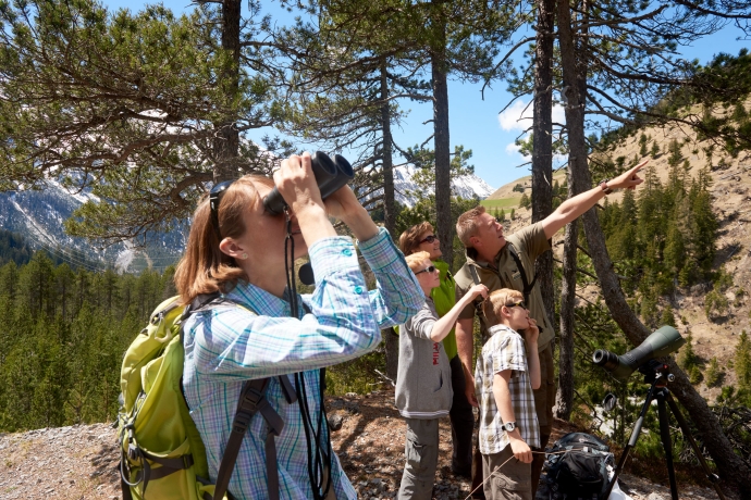 Wildbeobachtung Val Tours, im Parc Ela