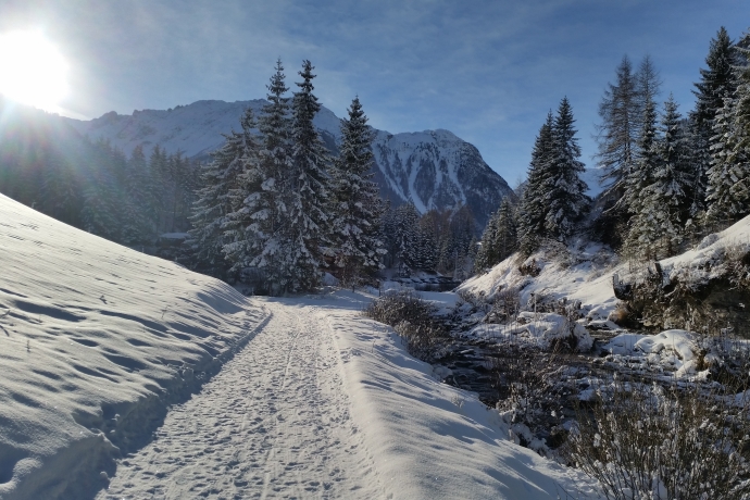 Winterwanderweg Cresta Gronda