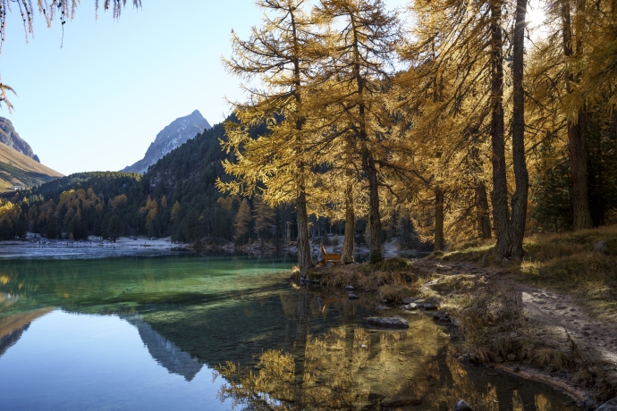 Lai Palpuogna (Copyright: Schweiz Tourismus/André Meier)